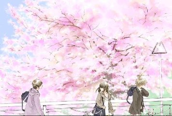 深入了解 蘑菇社区入口